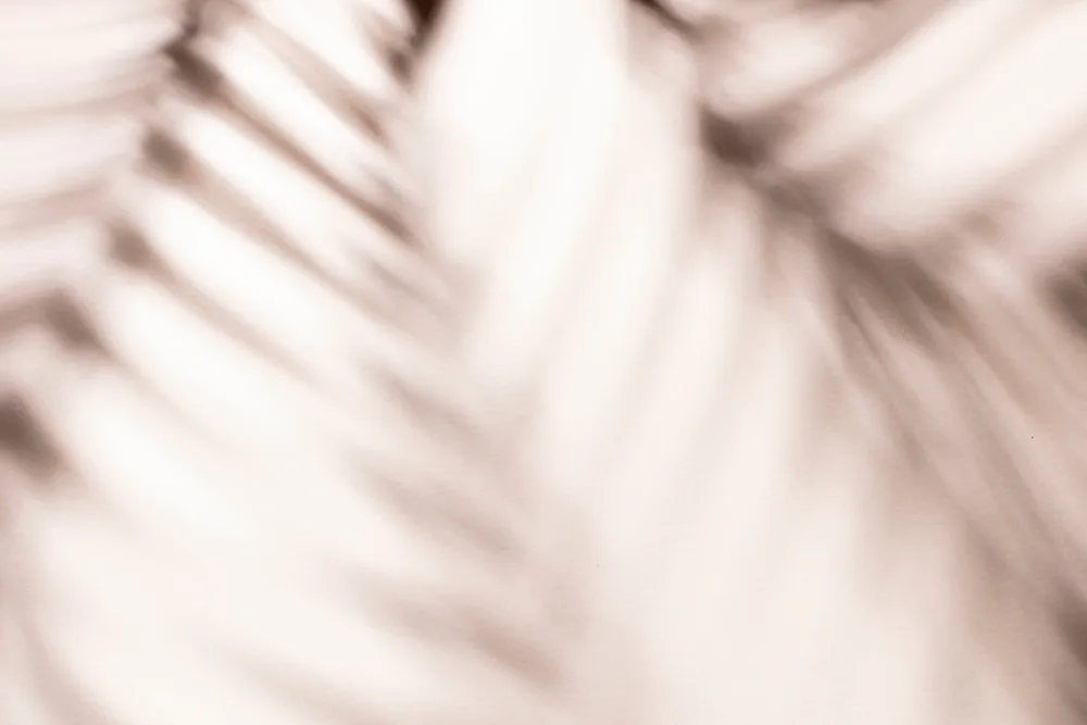 Licht und Schatten - Wandgestaltung