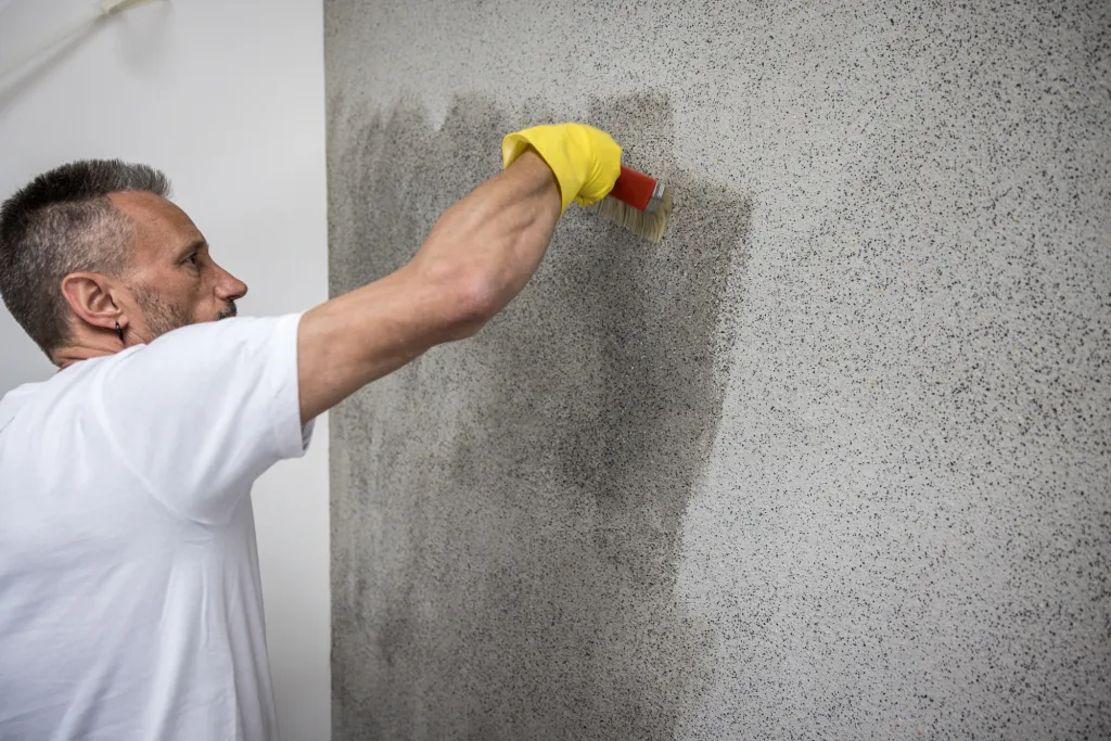 IBOD – Der Partner für Malerbetriebe